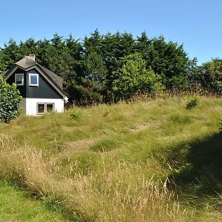 Bos En Velduil De Cocksdorp (Texel)