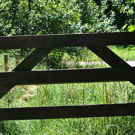 Bos En Velduil Vakantiehuis De Cocksdorp (Texel)