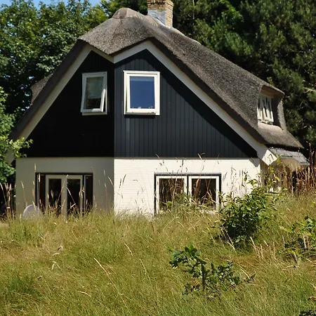 Vakantiehuis Bos En Velduil De Cocksdorp (Texel)